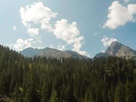 idílico panorama dentro a Alpes com fresco verde prados, florescendo flores, típica casas de fazenda e coberto de neve montanha tops dentro a fundo, Parque Nacional berchtesgadener terra, baviera, Alemanha foto