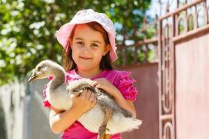 pequeno menina e Canadá Ganso dentro parque foto