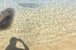 França bonifácio peixe dentro a mar foto