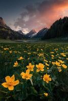 uma amarelo flor campo dentro a montanhas às pôr do sol foto