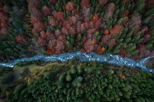 colorida coníferas com uma Riacho dentro outono fotografado a partir de acima foto