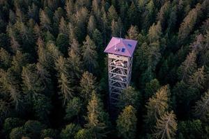 uma tenha cuidado torre dentro a meio do a floresta foto