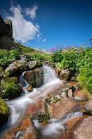 uma pequeno cascata entre flores e Prado debaixo azul céu foto