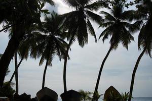 barcos debaixo a coco árvores às a takamaka de praia em mahe ilha, secyhelles foto