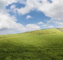 campo panorama Visão foto