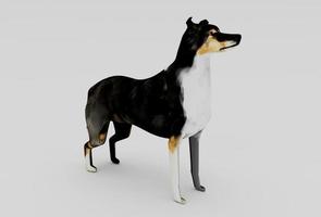 cachorro 3d Renderização em branco fundo mínimo 3d ilustração foto