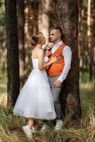 jovem casal noiva dentro uma branco curto vestir e noivo dentro uma cinzento terno dentro uma pinho floresta foto