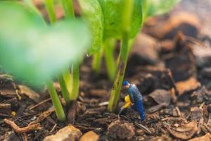 trabalhador em miniatura trabalhando com uma árvore, protegendo o conceito de natureza foto