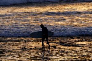 surfista ao pôr do sol foto