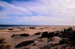 dunas de areia à beira-mar foto