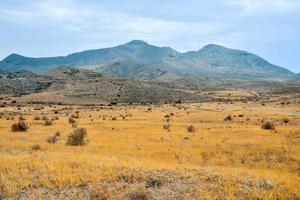 paisagem cênica montanha foto