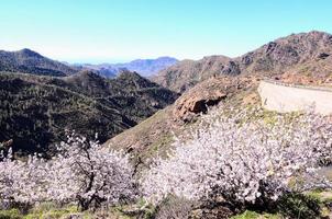 cênico panorama em tenerife, canário ilhas, Espanha foto