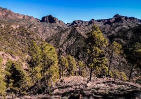 paisagem cênica montanha foto