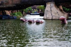 seletivo foco do hipopótamos natação dentro a lago. foto