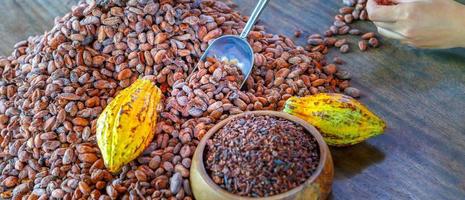 nibs de cacau são grãos de cacau que foram moídos a frio ou moídos a baixas temperaturas para formar grãos de cacau orgânicos minúsculos e amargos. foto