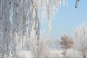 horário de inverno na Vestfália foto