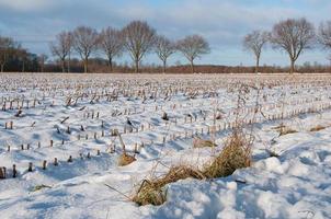 horário de inverno na Vestfália foto