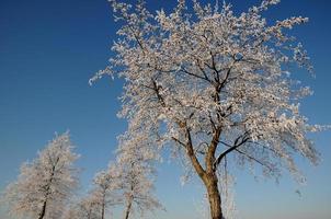 horário de inverno na Vestfália foto