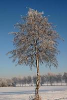 horário de inverno na Vestfália foto