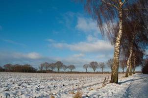 horário de inverno na Vestfália foto