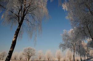 inverno na alemanha foto