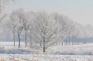 horário de inverno na Vestfália foto