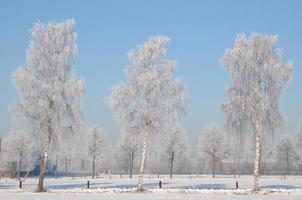 horário de inverno na Vestfália foto