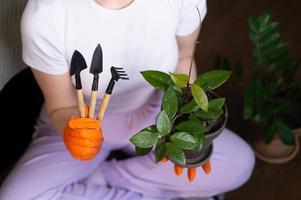 uma conjunto do Ferramentas para transplante flores às casa dentro seu mãos foto