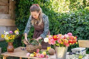 uma florista menina coleta uma ramalhete do outono flores dentro uma cesta foto