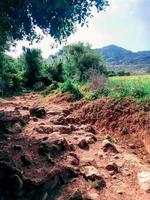 pitoresco beleza do público país trilhas uma viagem para dentro a coração do da natureza tranquilo paisagens e sereno charme foto