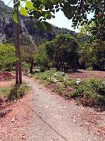 natureza em uma sereno trilha dentro a campo uma viagem para dentro tranquilo e majestoso paisagens foto