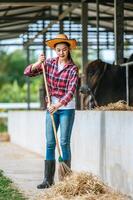 retrato de mulher feliz jovem agricultor asiático varrendo o chão na fazenda de vacas. indústria agrícola, agricultura, pessoas, tecnologia e conceito de criação de animais. foto