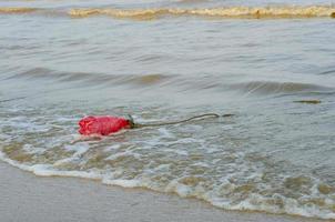 plástico garrafa desperdício em de praia para poluição conceito foto