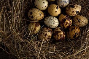 Codorna ovos dentro uma ninho em uma de madeira rústico fundo foto