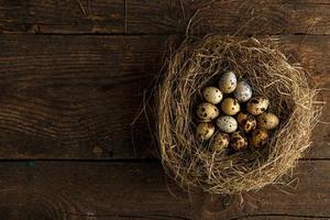 Codorna ovos dentro uma ninho em uma de madeira rústico fundo foto