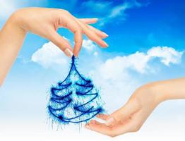 Natal árvore dentro mãos em uma azul céu foto