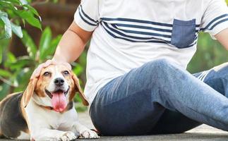 homem asiático com seu cachorro de férias no parque foto