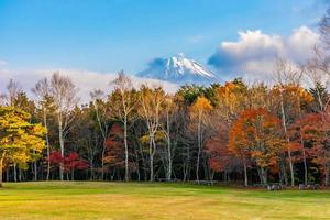 paisagem em mt. fuji, yamanashi, japão foto