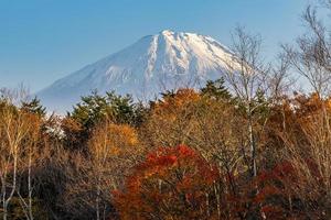 paisagem em mt. fuji, yamanashi, japão foto