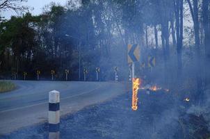 a beira da estrada pilar pólo é queimando com chamas e lá é fumaça Aumentar a partir de a fogo causou de incêndios foto