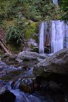 cascata escondido dentro a floresta foto