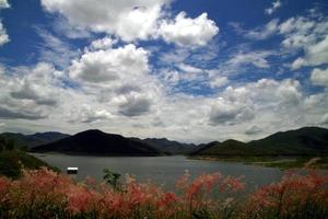 montanha água reservatório lindo nuvens e Rosa flores de a banheira. uma lindo Visão olhando às a Altíssima ângulo, fácil em a olho, olhando feliz, fresco, é uma pacífico turista destino. foto