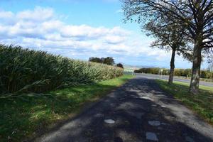 rural estacionamento às uma Alto milho campo foto