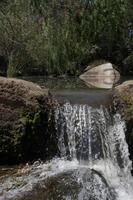 pequena cachoeira passando por cima de pedras em uma floresta foto