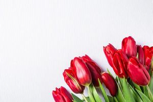 bandeira com ramalhete do tulipas dentro Rosa e branco cores. conceito do Primavera. flores fundo. foto