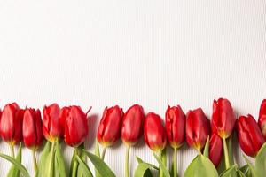 bandeira com ramalhete do tulipas dentro Rosa e branco cores. conceito do Primavera. flores fundo. foto