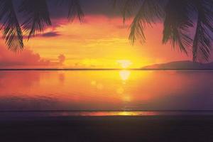 palmeira tropical e pôr do sol do mar foto