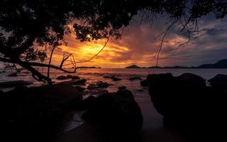 dramático pôr do sol às de praia com uma árvore e pedras foto