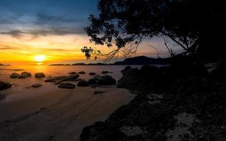 dramático pôr do sol às de praia com uma árvore e pedras foto
