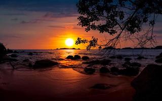 dramático pôr do sol às de praia com uma árvore e pedras foto